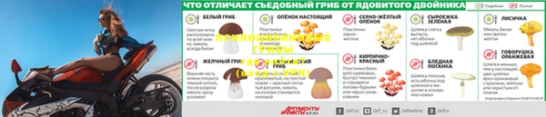 героин Няндома