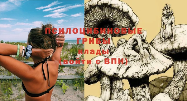 СК Нягань